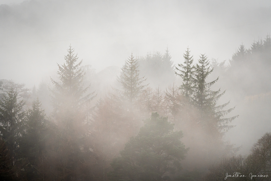 Paysage forêts ecosse en automne