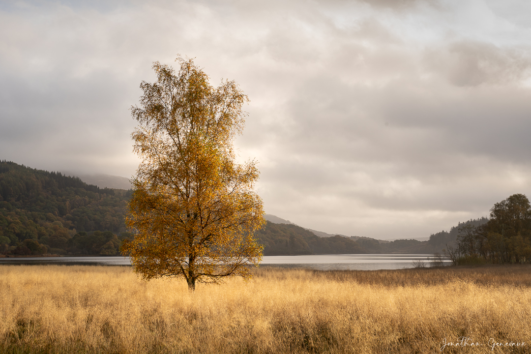 Photo d'Ecosse en Automne au Loch Achray