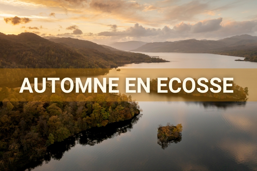 Stage photo nature: Photographier l'Automne en Ecosse